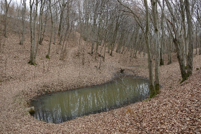 montello passeggiate sentieri