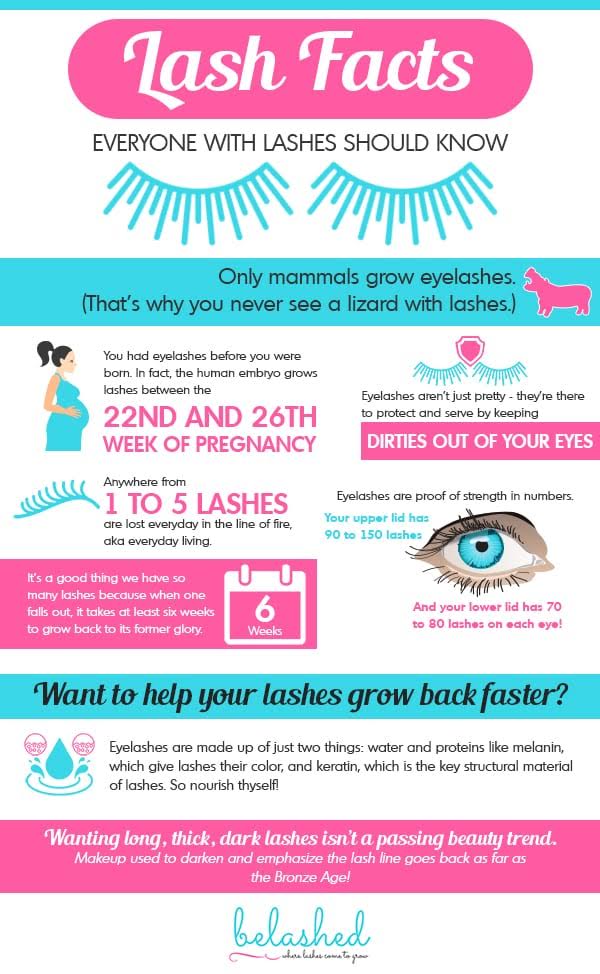Eyelash Facts Everyone with Lashes Should Know #infographic