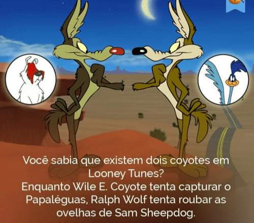 100965322_927046901115483_51894431121198