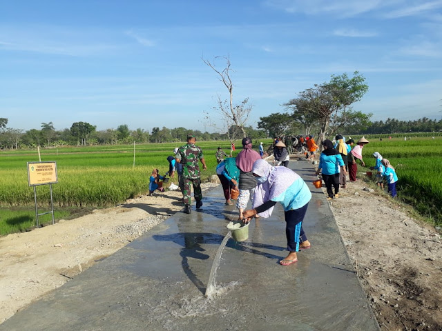 Srikandi Desa Jimbung Beraksi Di TMMD Reg 105   