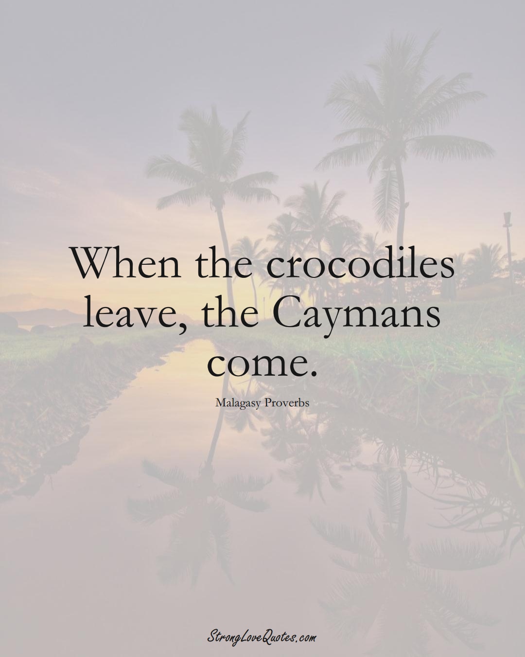 When the crocodiles leave, the Caymans come. (Malagasy Sayings);  #AfricanSayings