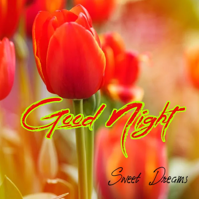 Good Night HD Images Good Night HD Images