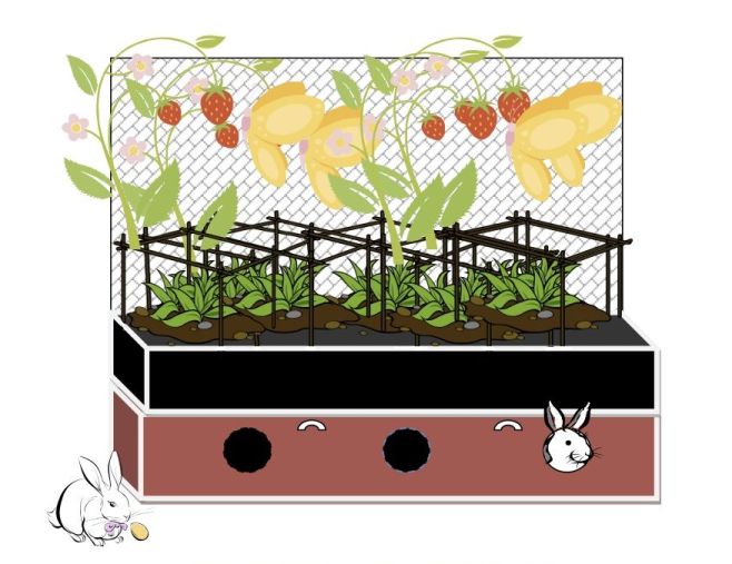 Bunny Homes: Rabbitats