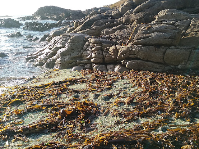 LA PLAYA DE LOS CRISTALES