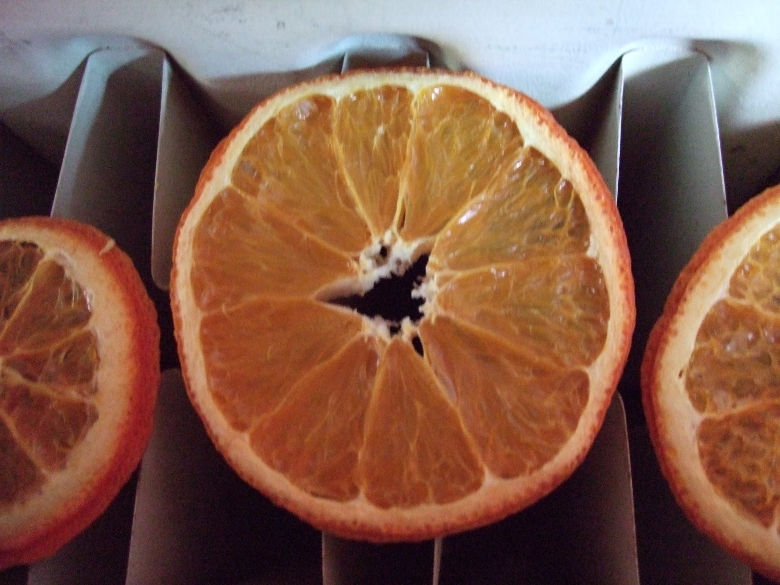 Making Stuff Radiator dried oranges