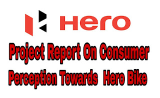 project-on-hero-motocorp, project on hero bikes