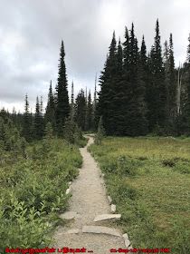 Wonderland Trail Mt Rainier