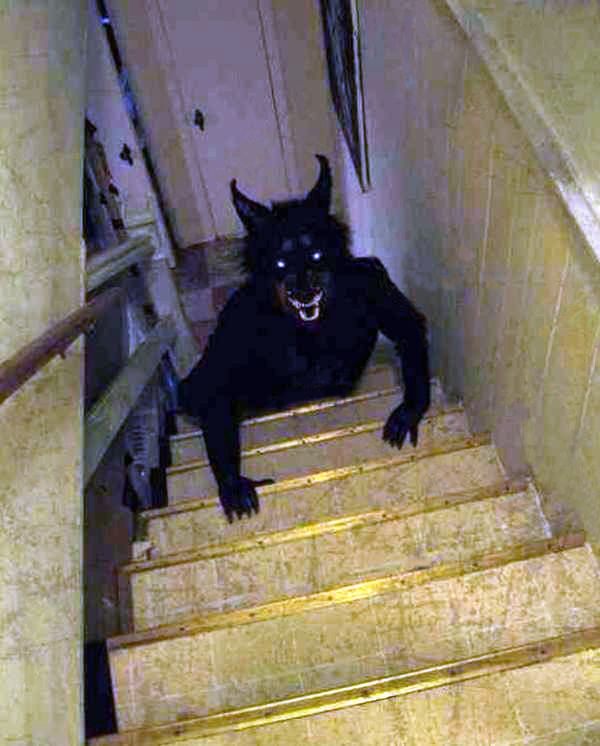 AMAZING MYSTERY VIDEOS WEREWOLF SIGHTING CAUGHT ON CAMERA