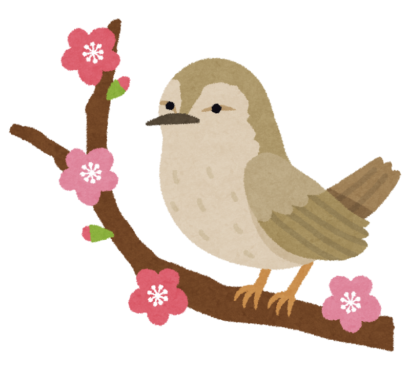 bird_uguisu.png (800×726)