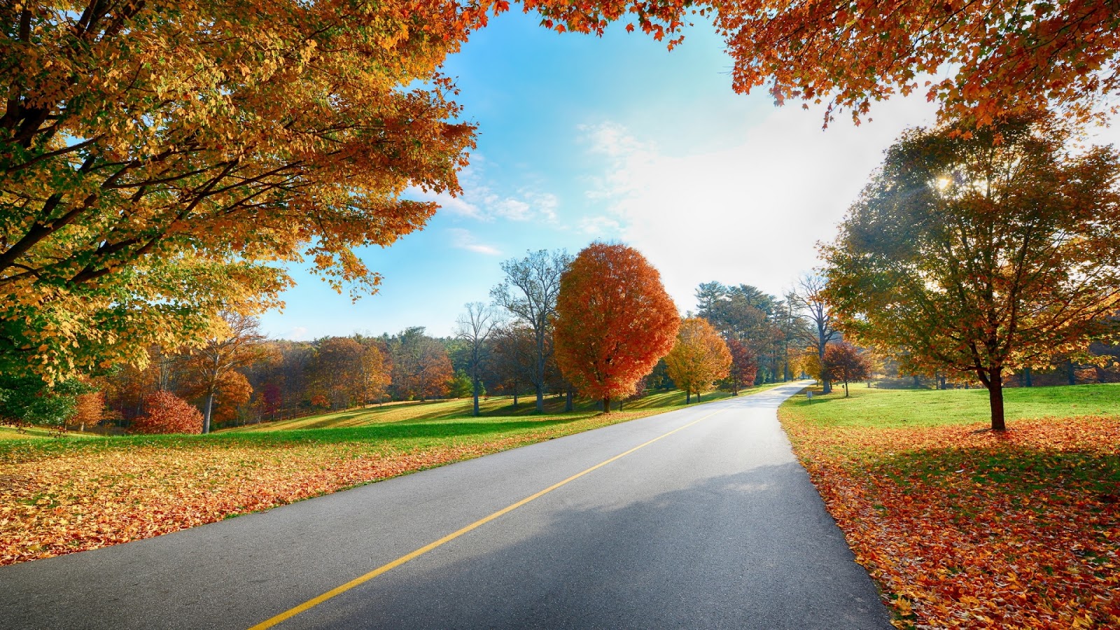 http://1.bp.blogspot.com/-s_MdhGAB1EQ/URCE5W0Qs5I/AAAAAAAAVPM/7tQ3535Bvc4/s1600/autumn-tree-road-landscape.jpg