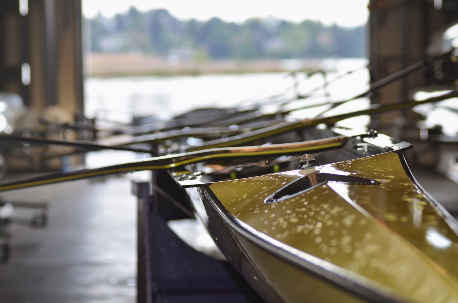 Coaches' Corner Coaching Rowing is Hard, So Get Started Right