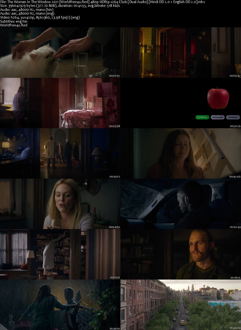 The Woman in the Window 2021 BRRip 480p Dual Audio 300Mb