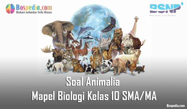 Lengkap Soal Animalia Mapel Biologi Kelas 10 Sma Ma Bospedia
