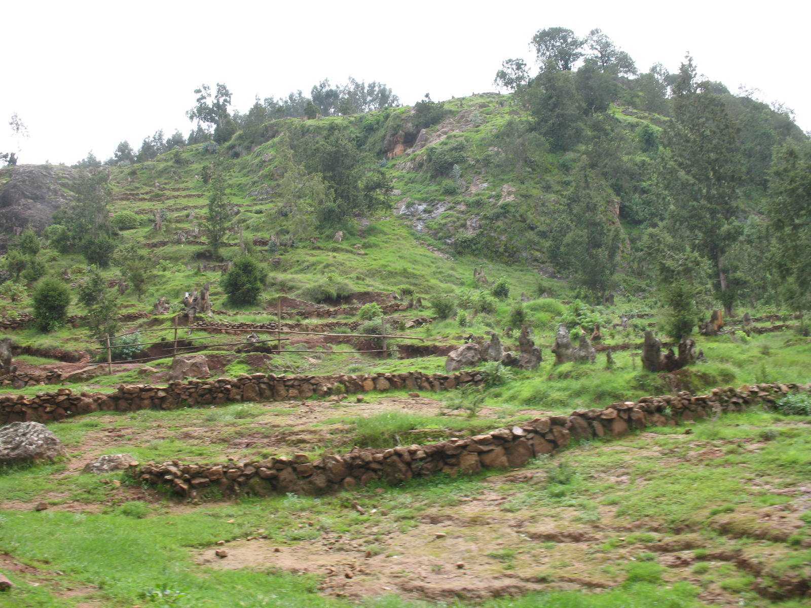 Phoebettmh Travel: (Ethiopia) - Addis Ababa - The Highest capital of Africa