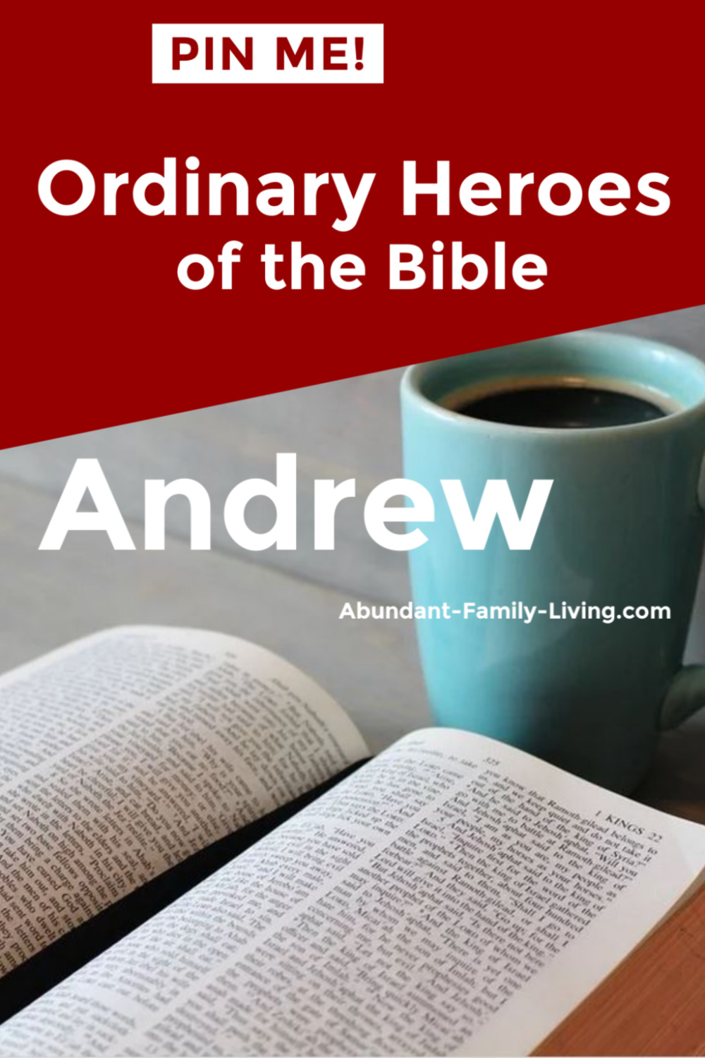 Abundant Family Living Andrew (Ordinary Heroes of the Bible Series)