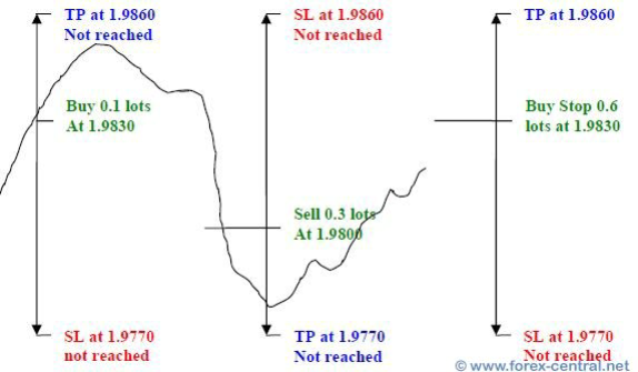 Sure-Fire" Forex Hedging Strategy 