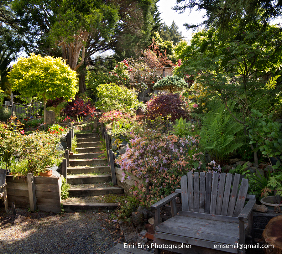 Déjà vu - down memory lane in California: LOFTY GARDENS
