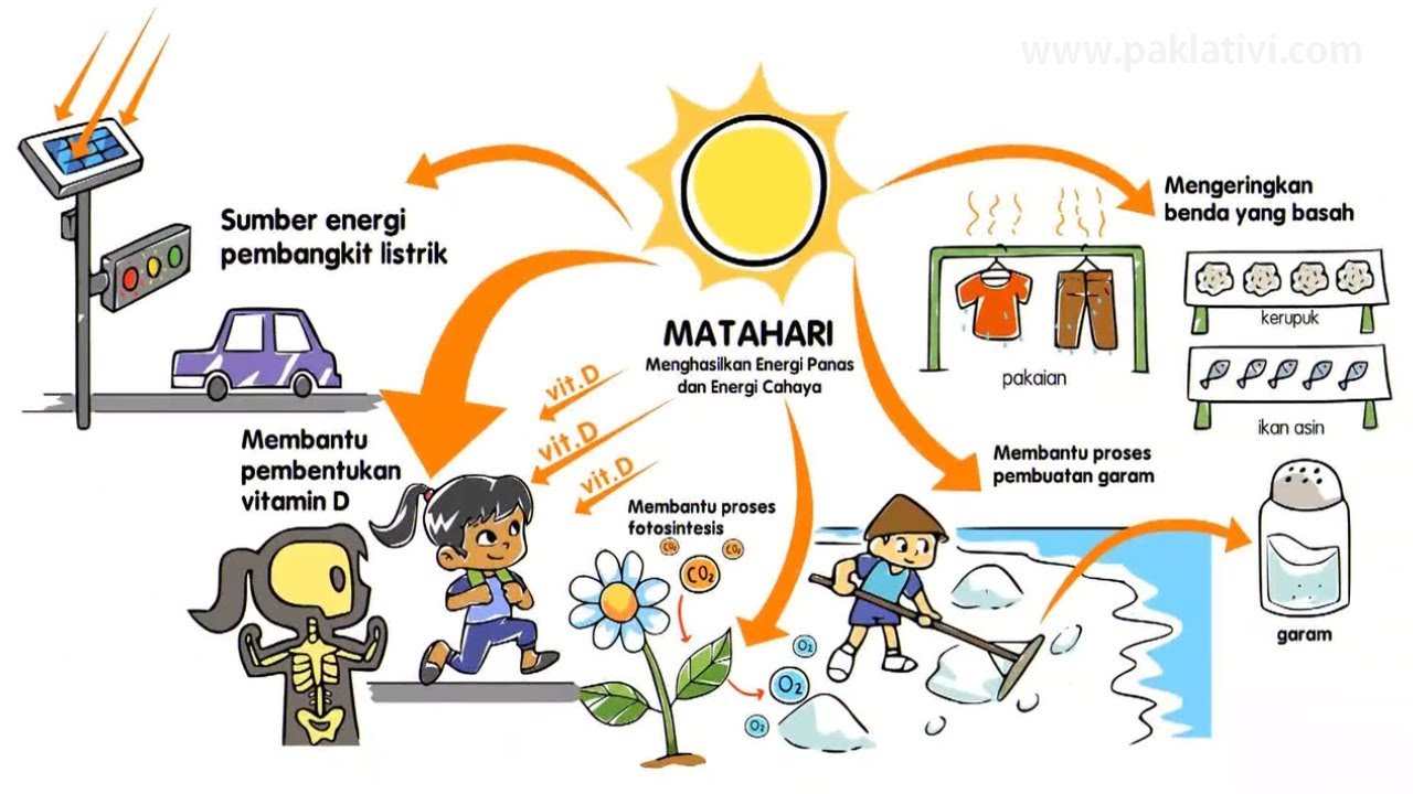 Manfaat Energi Matahari Untuk Manusia Homecare24