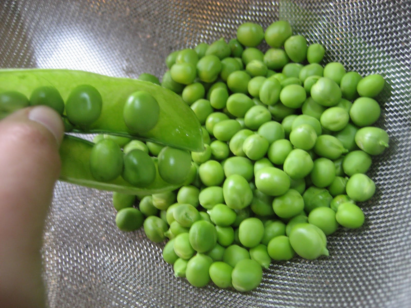 Teacher, Baker, Gourmet Meal Maker Freezing Fresh Sweet Peas