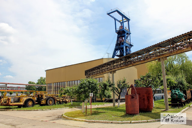 Muzeum Ziemi Lubińskiej - wyjątkowa atrakcja Lubina