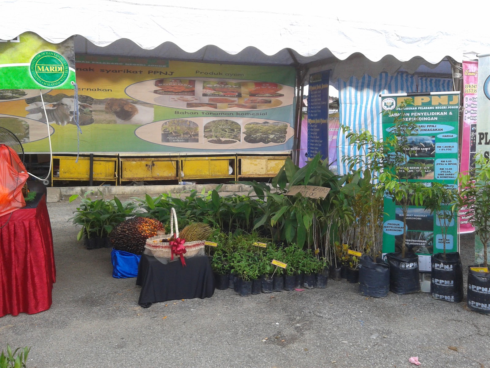 JOHOR PLANT TECH SDN BHD AKTIVITI SYARIKAT