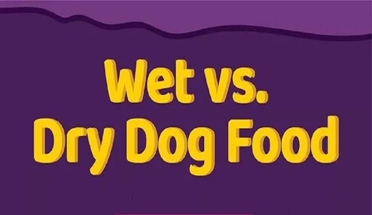 Wet vs. Dry Dog Food #infographic