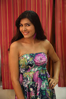HeyAndhra Actress Sangeetha Sizzling Photos HeyAndhra.com