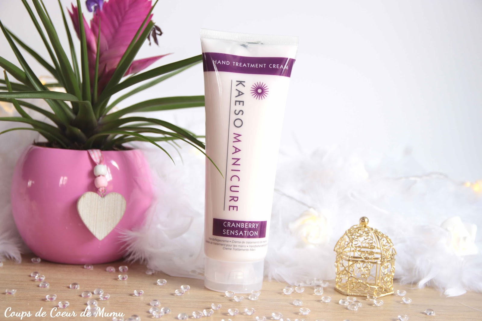 Un Blog Sur Les Plantes En Tout Genre Juin 2012