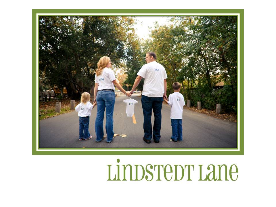 The Lindstedt Family
