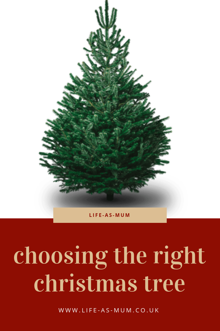 Choosing The Right Christmas Tree — Beth Owen