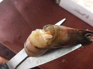 [Image: IMG_1888.JPG]