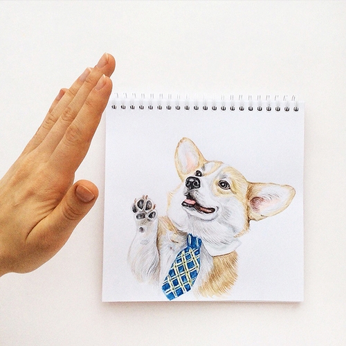 09-High-Five-Valerie-Susik-Валерия-Суслопарова-Cats-and-Dogs-Interactive-Animal-Drawings-www-designstack-co