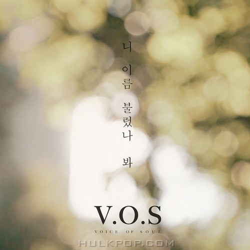 V.O.S – Call your name – Single