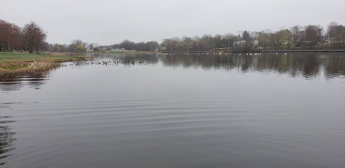 Harriman Hiker Harriman State Park and Beyond Congers Lake Loop Spring Hike