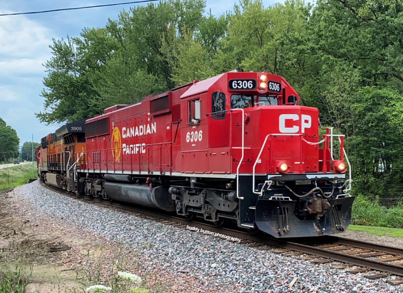 buddy burton photography CP 47425 with CP 6306