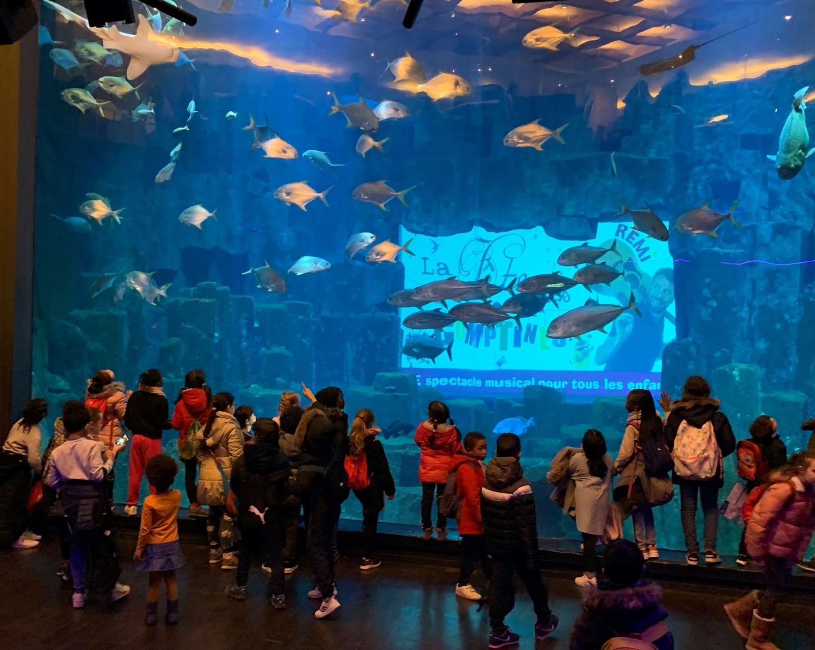 Maison Pour Tous La Haye Aux Moines Aquarium de Paris