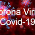 koronavirüs nedir? (Coronavirüs)