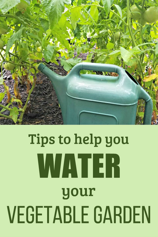 How to Make Watering Your Vegetable Garden Easier Oak Hill Homestead