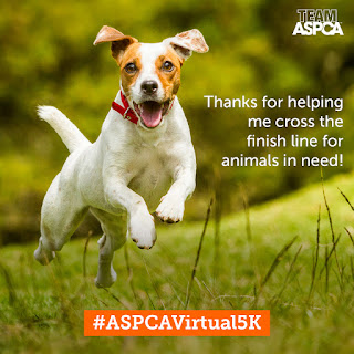 ASPCA Virtual 5K animals rescue