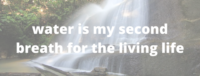water status water status