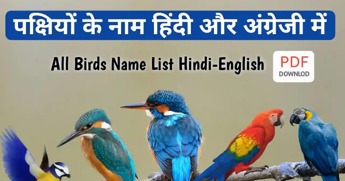 All Birds Name List In Hindi And English (pdf) पक्षियों के नाम HindiHelpZone
