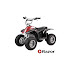 Razor 25143002 Dirt Quad, 10-12-inch (Black)