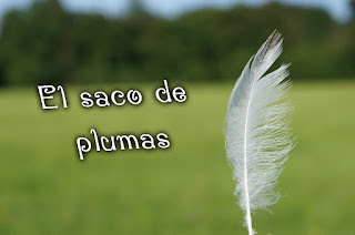 Reflexión de hoy: El saco de plumas