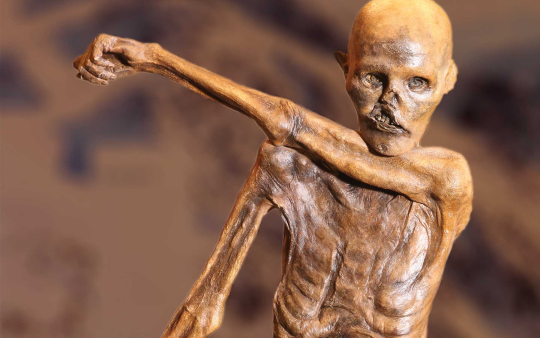 Know about some of the world's most famous mummies, Otzi The Iceman, World Famous Mummies,The Mummy, Egypt, India, Odisha, Odia, KnowledgeOdia