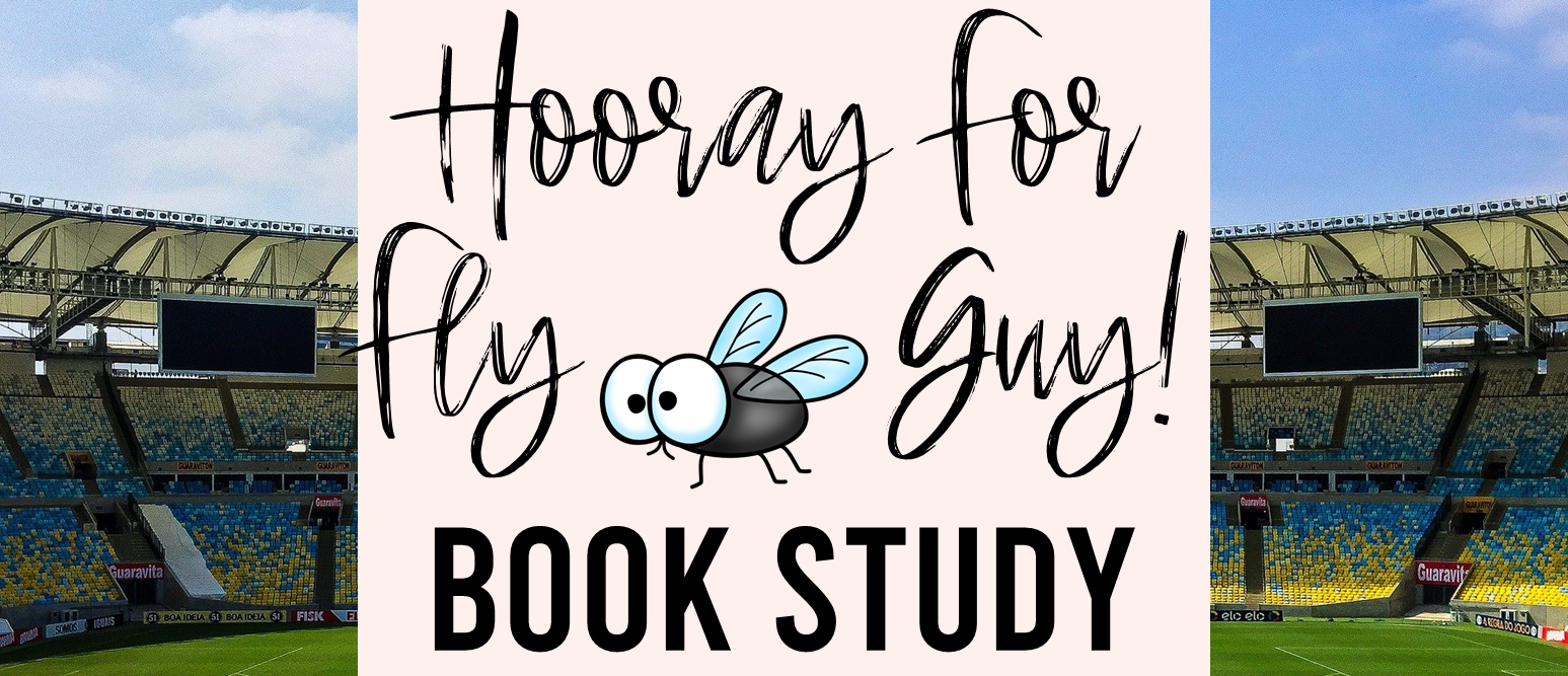 Hooray for Fly Guy book study companion literacy activities unit for first and second grade