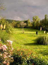 Gran espai enjardinat