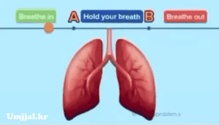 Umjjal_kr_973.gif