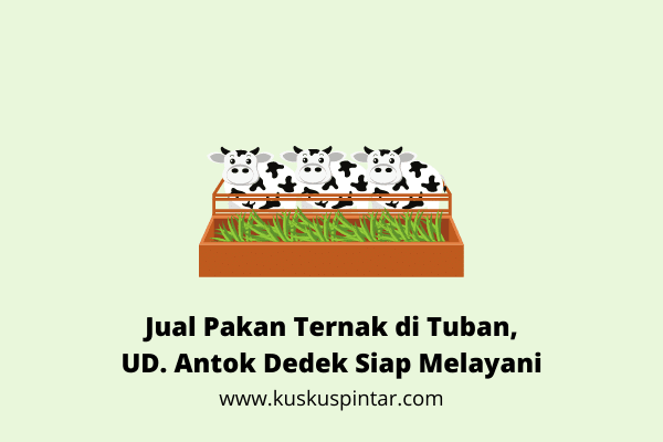 Jual Pakan Ternak di Tuban