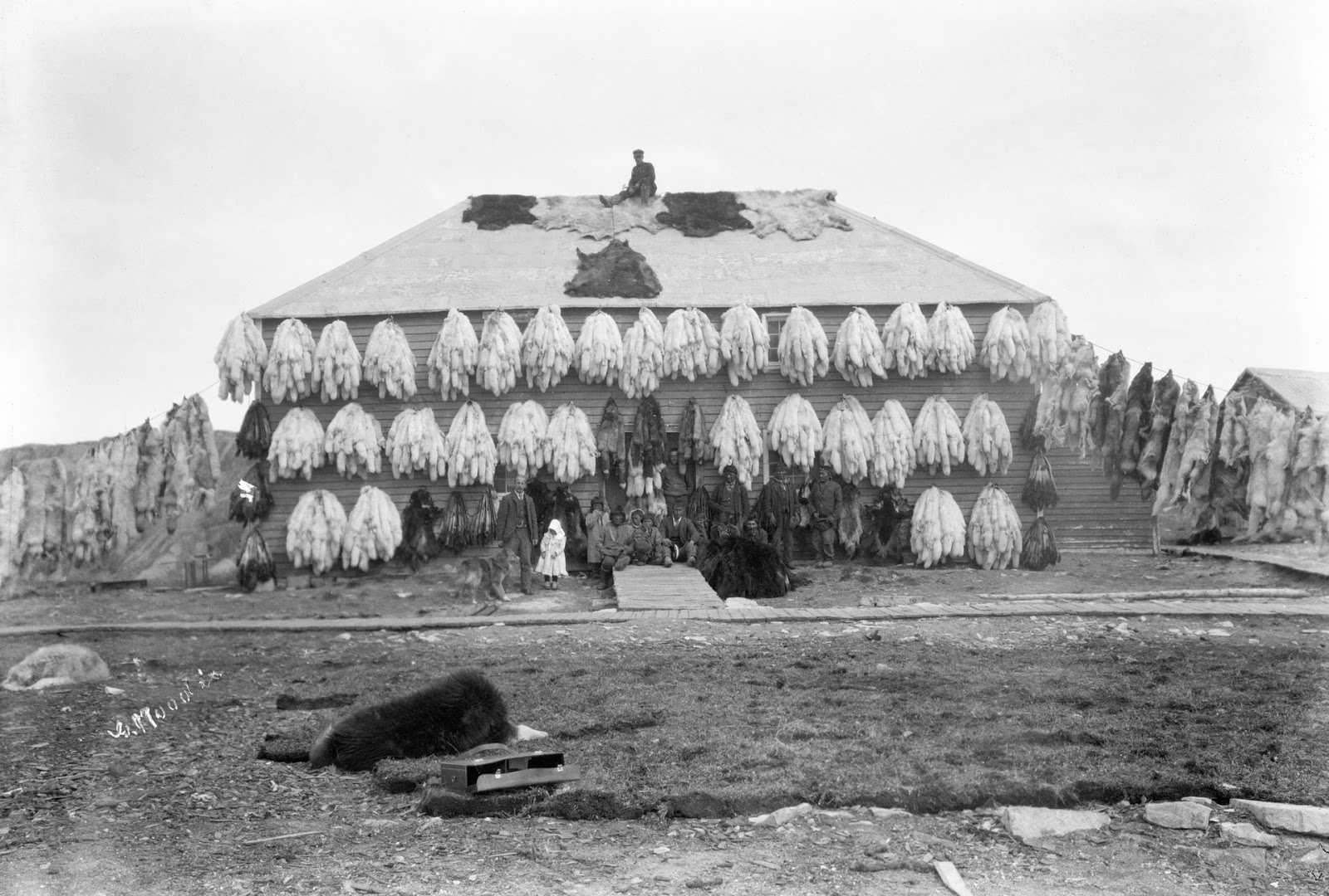 Rare Vintage Photographs of the Inuit People in Canada's Frozen North