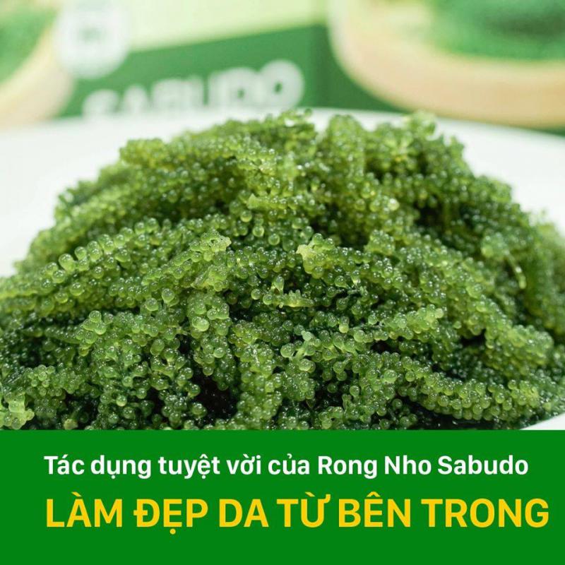 [Nhập Sỉ] Rong nho Sabudo hộp 12 gói